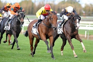 DECORAH 10.04.15 ManawatuBreedersSt. RaceImagesPalmNorth